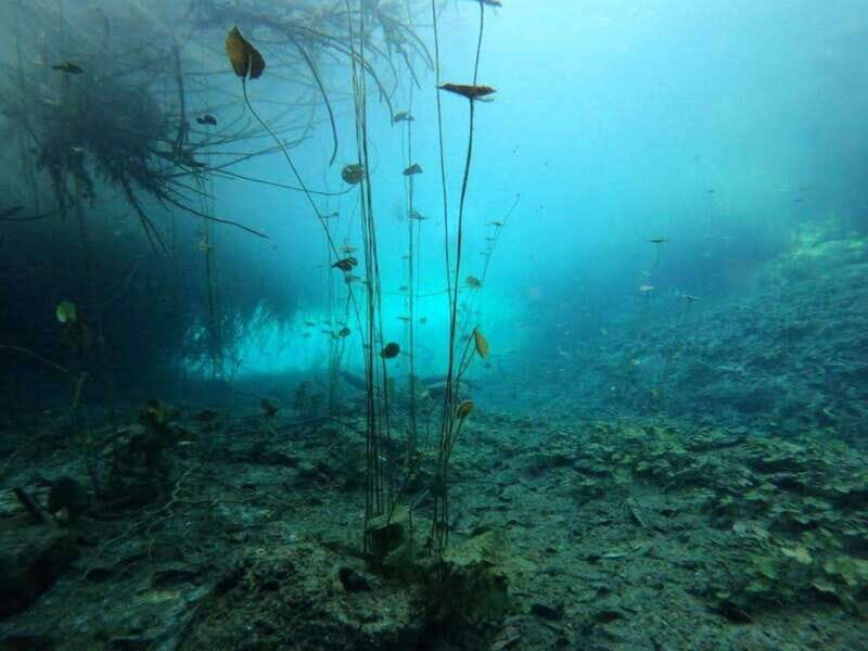 Bacalar: Magnificent Bacalar Lagoon Exclusive Boat Tour - Who This Tour Fits Best (and Who Might Want a Different Style)