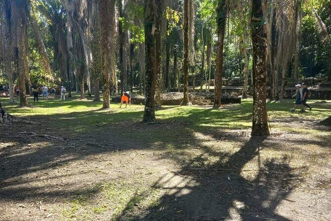 Bacalar : Private Tour to the Mayan Temple of the Sun. Professional Guides - What to bring (and what to accept) at Kohunlich and Dzibanché