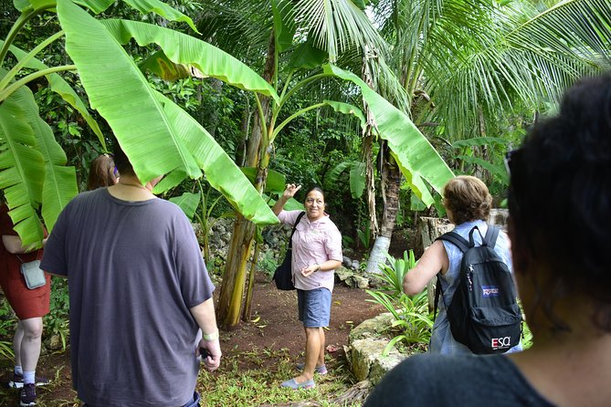 Bacalar Seven Color Lagoon and Mayan Experience Combo Tour - Group size and comfort: what it feels like in practice