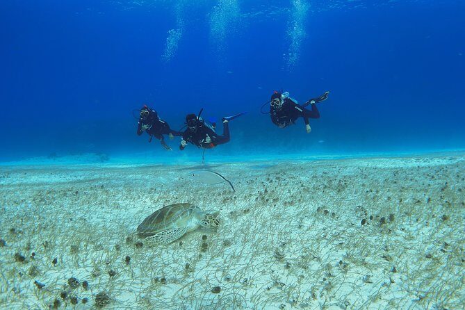 Basic Diver - Bautismo - Your 9:30 a.m. Playa del Carmen start: where this day actually begins