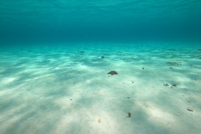 Bavarian Fiesta Snorkel Activity in Glass Bottom Boat at San Miguel de Cozumel - Cozumel’s south-side snorkel route (and why it matters)