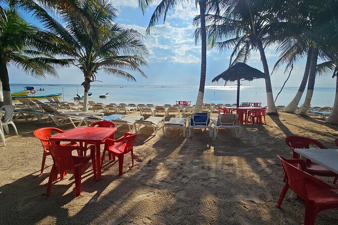 Beach club restaurant kraken - Key highlights worth your attention