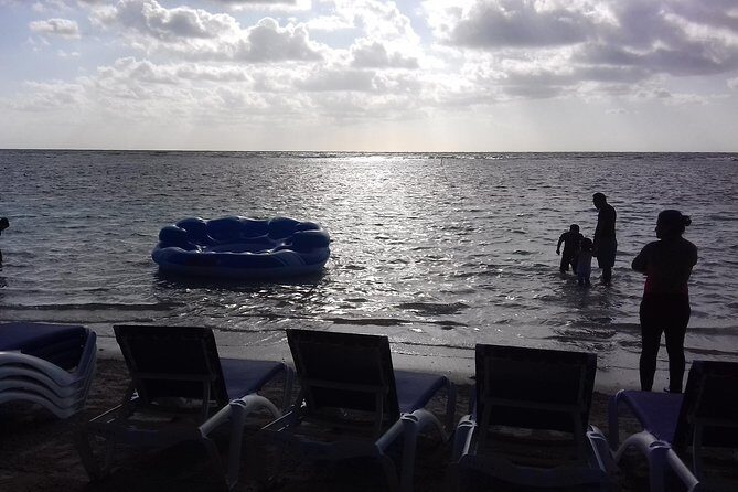 BEACH DAY IN LOS ARRECIFES RESTAURANT-open bar and lunch. - Seaweed reality: how to set the right expectations