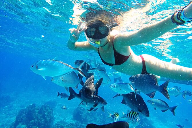Best Cozumel Day Pass San Francisco Beach Club - Water activities included: snorkel gear, kayaks, paddle boards, inflatables