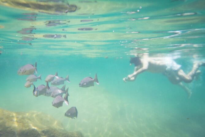Best in Class: Private Snorkeling Xpedition - Stop 3: Yal-ku Lagoon Reef Snorkel for Colorful Marine Life