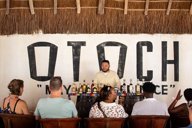 Best Island tour (dowtown, Beach, mayan Park & tastings) - Who Should Book This Cozumel Tour