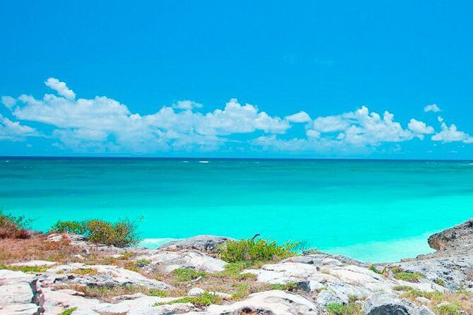 Best Tour to Tulum, Coba and Playa Del Carmen. No hidden fees! - Playa del Carmen on 5th Avenue: Shopping Time vs. a Real Break