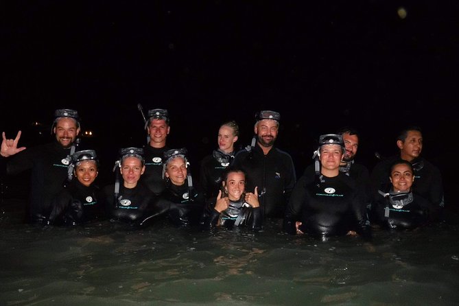 Bioluminescence Experience in Holbox - Getting Gear and Getting There Without Chaos