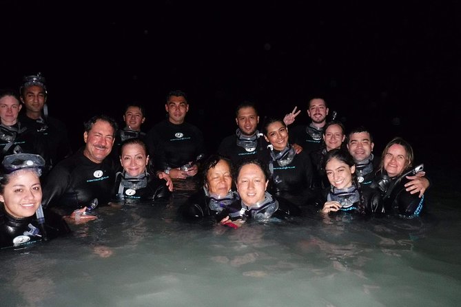 Bioluminescence Experience in Holbox - Real Talk: Mosquitos, Dark Walks, and Glow Expectations
