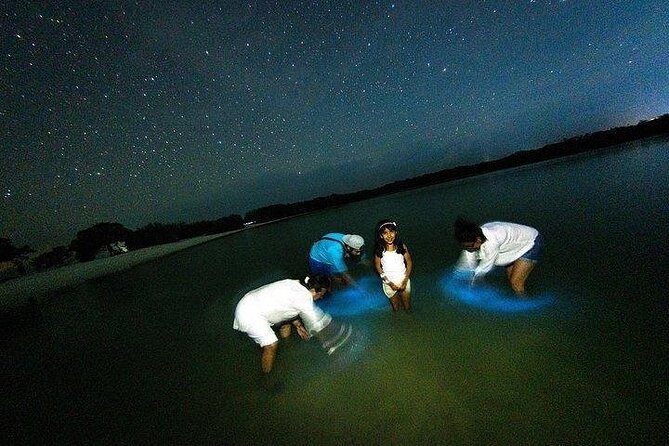 Bioluminescence Tour by Car at Holbox - Key highlights before you book