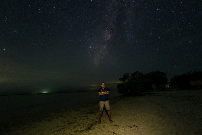 Bioluminescence Tour by Car at Holbox - Holbox plankton glow: what you’re actually seeing