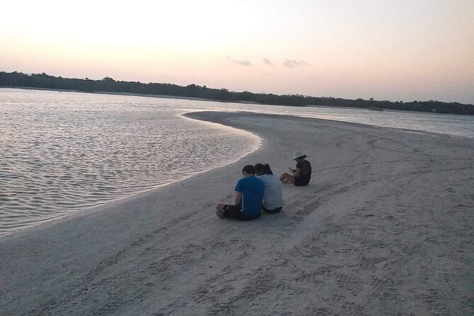 Bioluminescence Tour by Car at Holbox - Photos, mosquitoes, and what to ask before you go
