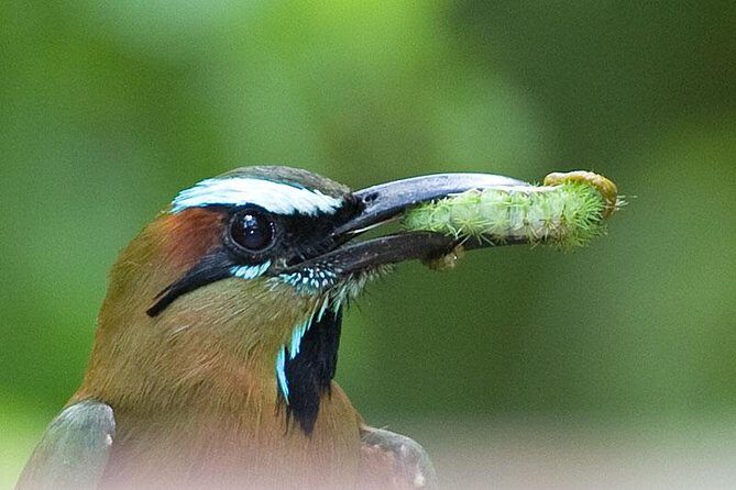 Bird watching ecofriendly tour from Cancun & Riviera Maya - The two jungle locations: what to expect when the scenery changes