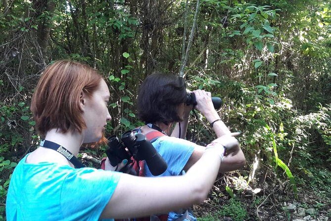 Bird watching ecofriendly tour from Cancun & Riviera Maya - The meal moment: tortillas and black beans in the jungle