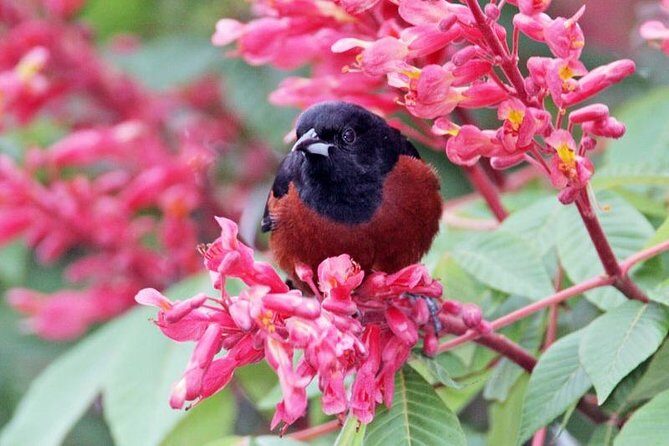 Bird watching ecofriendly tour from Cancun & Riviera Maya - Eco-friendly practices and health habits you’ll notice up front