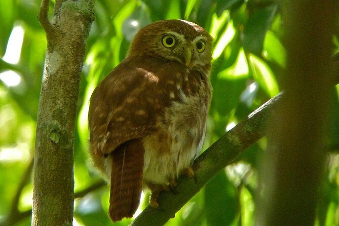 Bird Watching in Sian Ka´an Muyil - Why the 6:00 am start makes this tour worth it