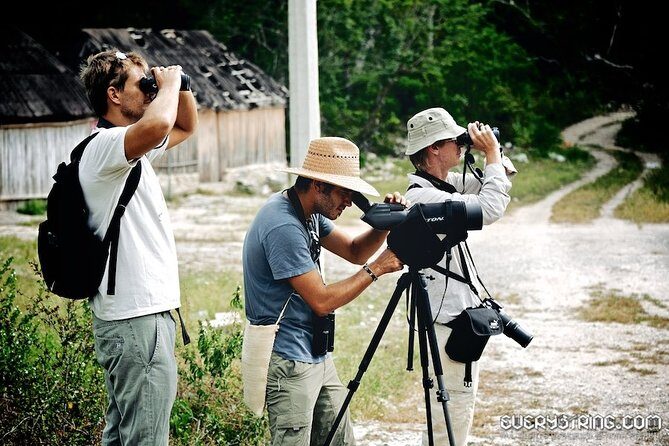 Bird Watching in Sian Ka´an Muyil - Sian Ka’an Biosphere Reserve: mangroves, lagoons, and the float upgrade