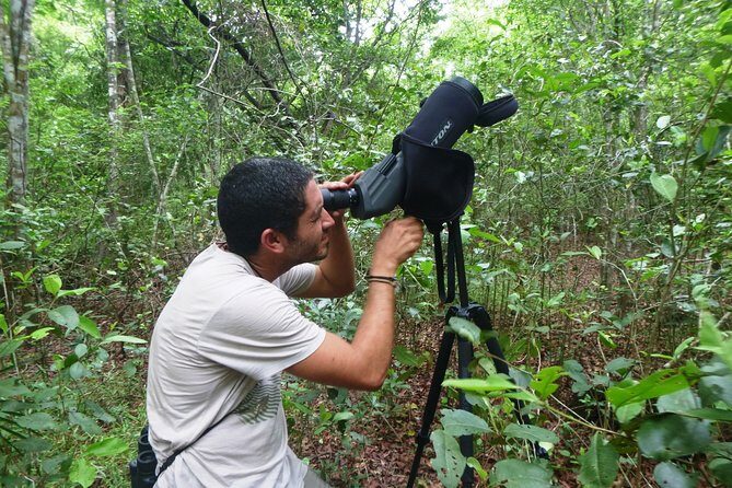 Bird Watching in Sian Ka´an Muyil - Muyil archaeological site: old trading post energy, birdwatching focus