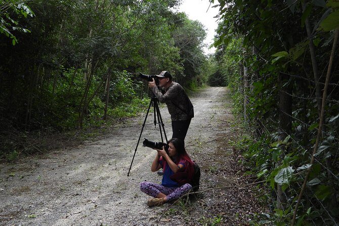 Birds of the Mayan World 2 / Route of the cenotes - Real-time eBird checklists: why this detail matters