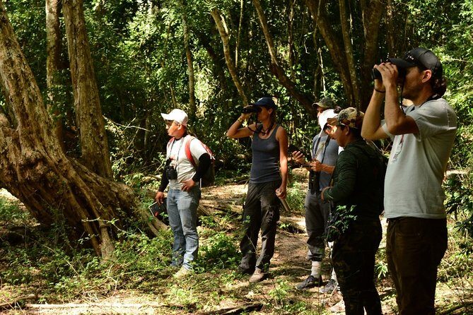 Birdwatching in Coba from Tulum - Shared Group Tour - Stop 2 in Cobá: coffee, energy, and birding around the village and lagoon