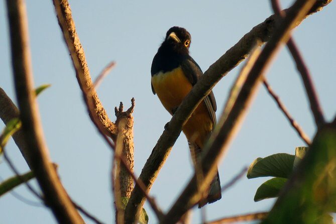 Birdwatching Sian Ka'an Biosphere Reserve - What’s included (and why it changes the value equation)