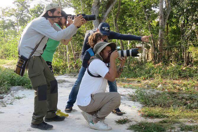 Birdwatching Sian Ka'an Biosphere Reserve - Muyil archaeological zone stop: culture while your eyes are on the canopy