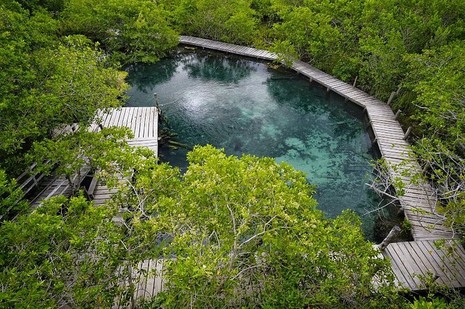 Boat Tour of Three Islands in Holbox with Transportation - Stop 2: Isla de la Pasión and a Lover’s Beach Reset