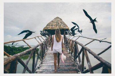 Boat Tour of Three Islands in Holbox with Transportation - How the Morning/Day Flow Works (Pickup, Boat Time, Return)