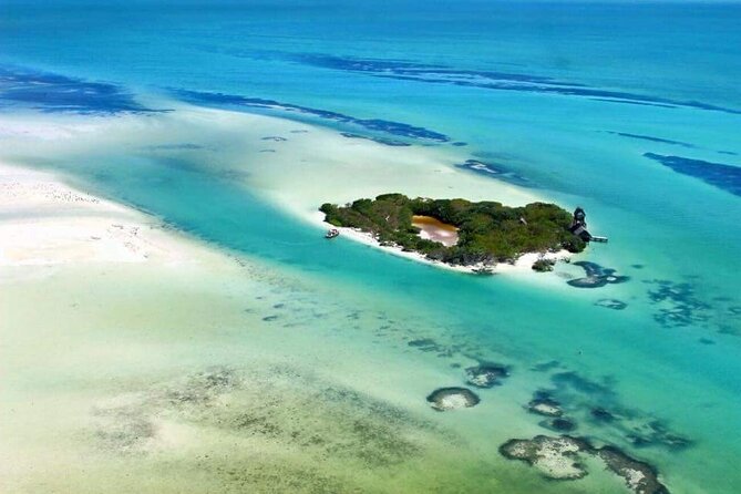 Boat Tour of Three Islands in Holbox with Transportation - Stop 3: Isla Pájaros Bird Island, and When It Gets Replaced