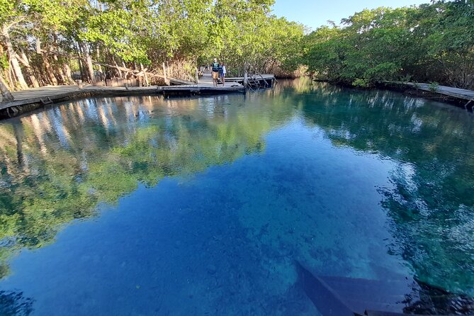 Boat Tour of Three Islands in Holbox with Transportation - Guides and Wildlife Talk: What Makes the Tour Feel Special