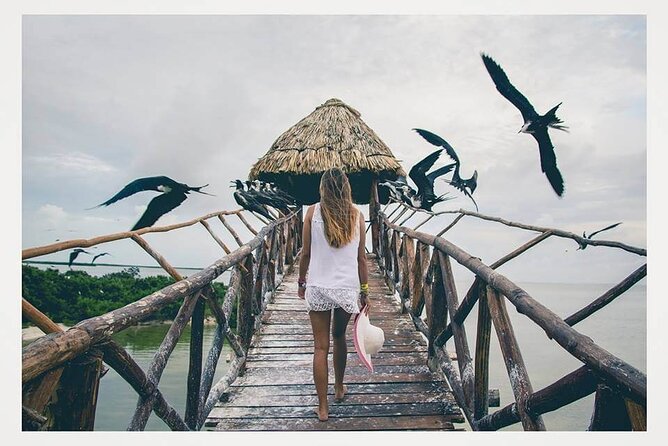 Boat Tour of Three Islands in Holbox with Transportation - How the Morning/Day Flow Works (Pickup, Boat Time, Return)