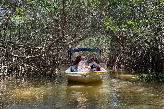 Boat tour through the mangroves of Celestún and Playa from Merida - Quick Hits