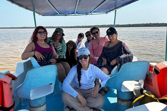 Boat tour through the mangroves of Celestún and Playa from Merida - A Small-Boat Nature Day From Mérida