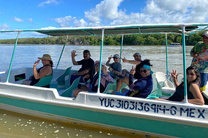 Boat tour through the mangroves of Celestún and Playa from Merida - Bird Island to the Mangrove Tunnel: What You’ll Notice