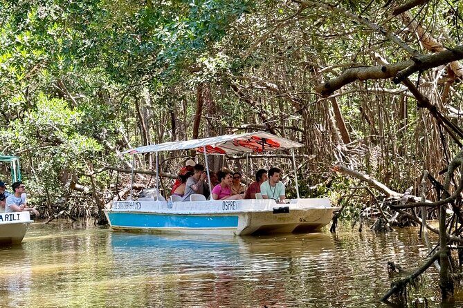 Boat tour through the mangroves of Celestún and Playa from Merida - Comfort, Safety, and the Weather Reality