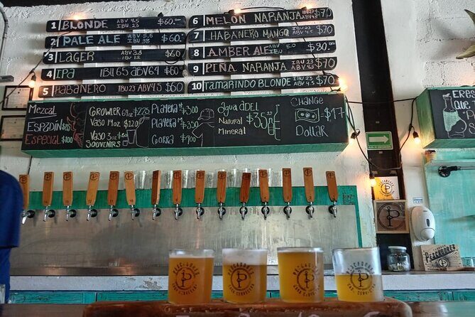 Brewery Tour / Craft Beer Tasting Cancun Mexico - Transportation and timing: why the 4–5 hour schedule feels manageable