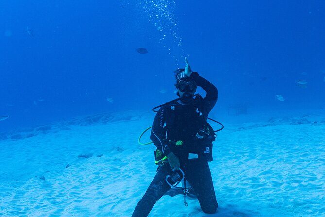 Bull Shark Dive in Playa del Carmen – Dive Machine Experience - Snack break on the boat: refuel before the reef