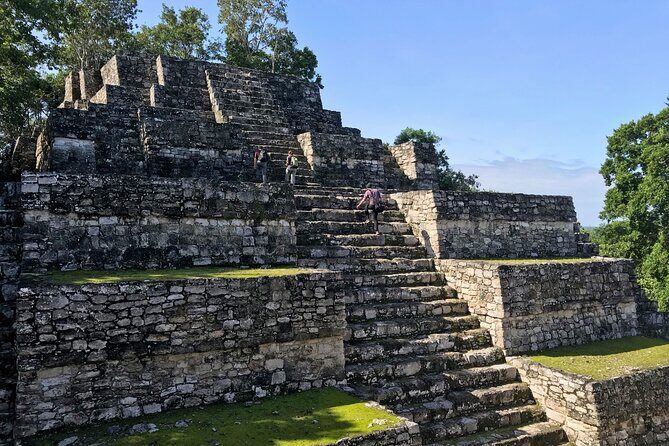 Calakmul, Ancient Maya City from Bacalar or Chetumal - Calakmul at 6:30 am: the day starts like a real expedition