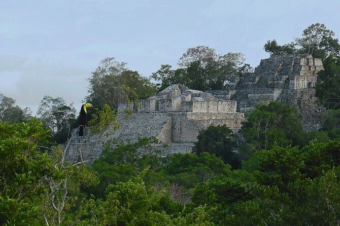 Calakmul, Ancient Maya City from Bacalar or Chetumal - Pacing, comfort, and what to pack for a long jungle day