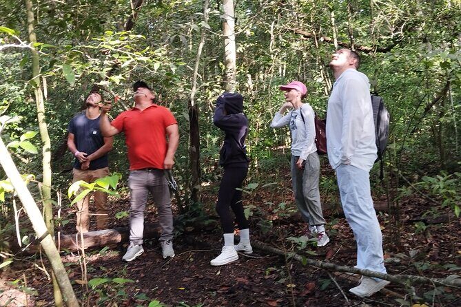 Calakmul Expedition : Jungle Trek & Ruins from Bacalar or Chetumal - Timing and heat: why the day feels long