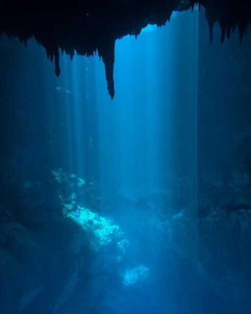 Cancun 2 Cenote Dives: The Pit & Dos Ojos - Certified Divers - How the guides make the experience better than the checklist