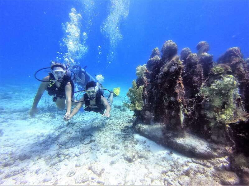 Cancun: 2-Tank Dive for Beginners with MUSA and Reef Dive - Key points to know before you go