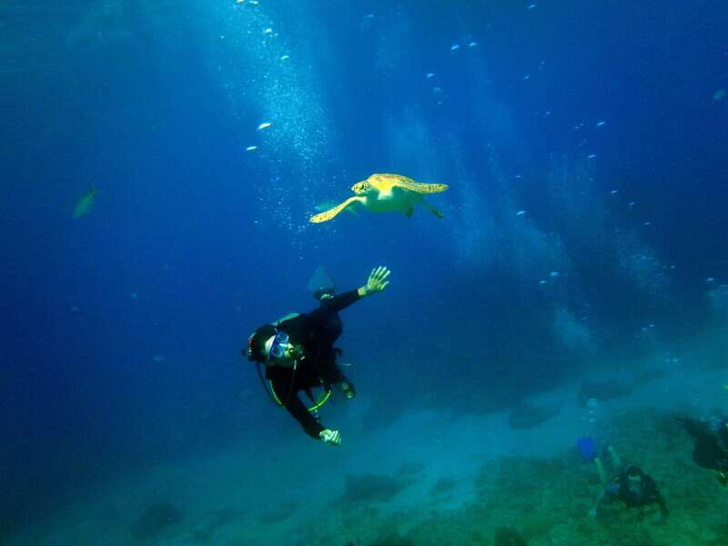 Cancun: 2-Tank Dive for Beginners with MUSA and Reef Dive - Instructor style and small-group attention (Clemente Herrera and Doris)