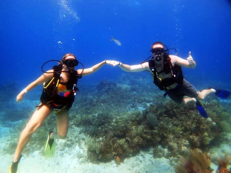 Cancun: 2-Tank Dive for Beginners with MUSA and Reef Dive - Your first underwater stop at MUSA: 400 sculptures and realistic visibility
