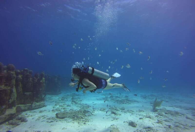 Cancun: 2-Tank Dive for Beginners with MUSA and Reef Dive - The natural reef session: where the colors and fish variety often land