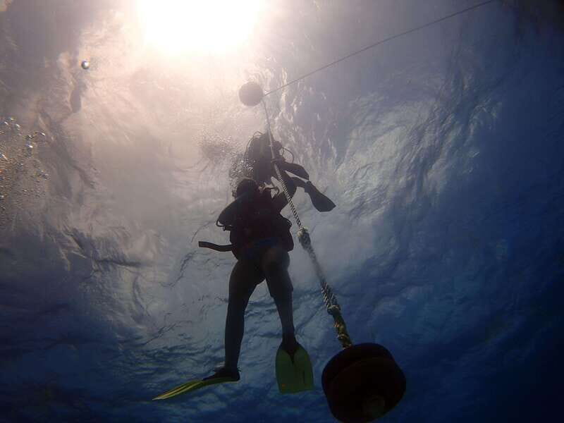 Cancun: 2-Tank Dive for Beginners with MUSA and Reef Dive - What’s included, what isn’t, and the rules you should take seriously