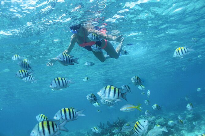 Cancun 4 hour Private Yacht Experience with Lunch and Open Bar Onboard - Who This Trip Fits Best (And Who Might Want Another Option)