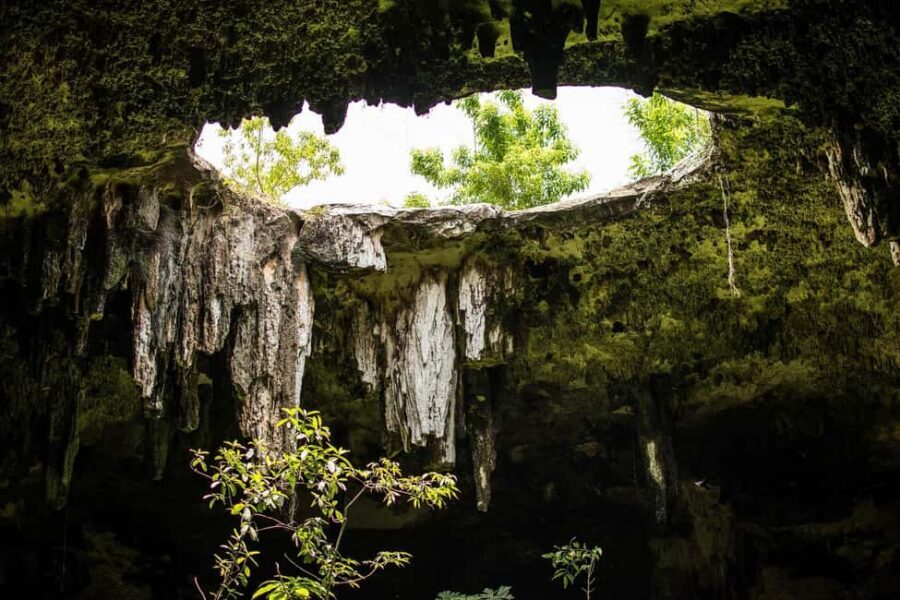 Cancun: access to Chichen Itza, Ek Balam, a Cenote, and Lunch - One-Day Structure: How You’ll Experience Yucatán in 12 Hours