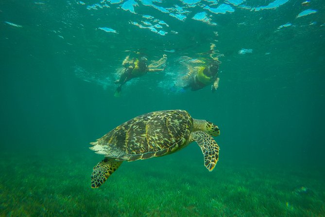 Cancun Adventure: Reef Snorkeling & Parasailing Experience - Weather Can Change the Day: A Safety-First Reality