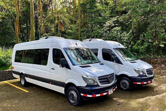 Cancun Airport Shared Transfer - Airport pickup flow after migration and customs